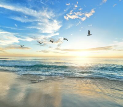 Summer’s Almost Over — 5 Ways to Stay On Track with Your Self-Care Routine