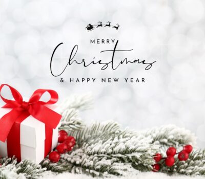 December at BASI Pilates Newport Beach: Gratitude, Growth & Gathering Together